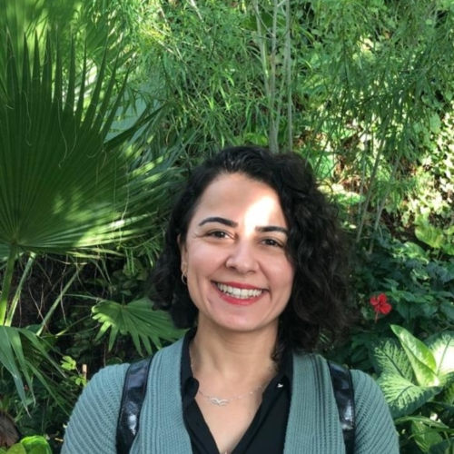 Bahar Isik