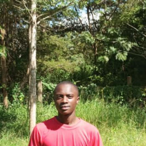 Mainga mark mutua